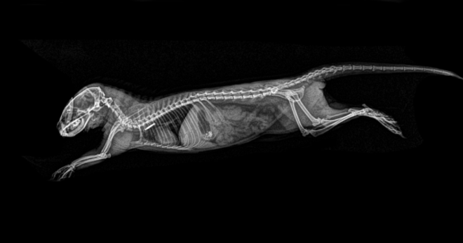 ÐÐ°ÑÑÐ¸Ð½ÐºÐ¸ Ð¿Ð¾ Ð·Ð°Ð¿ÑÐ¾ÑÑ