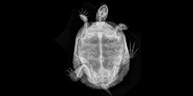 ÐÐ°ÑÑÐ¸Ð½ÐºÐ¸ Ð¿Ð¾ Ð·Ð°Ð¿ÑÐ¾ÑÑ