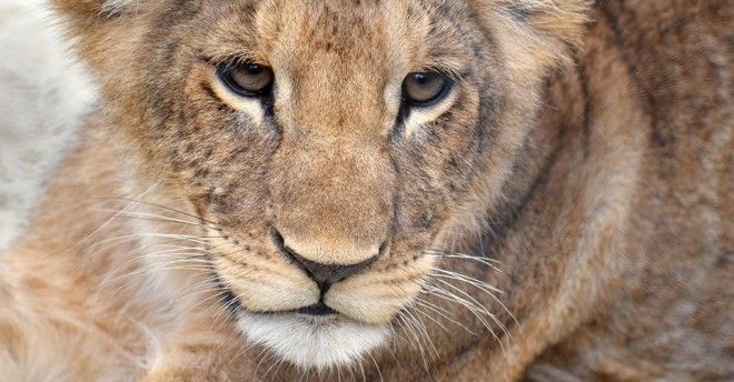 8 вещей которые не может объяснить наука Изображение 10