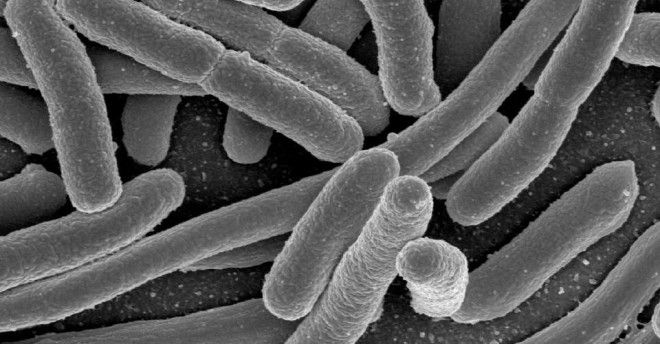 8 вещей которые не может объяснить наука Изображение 6