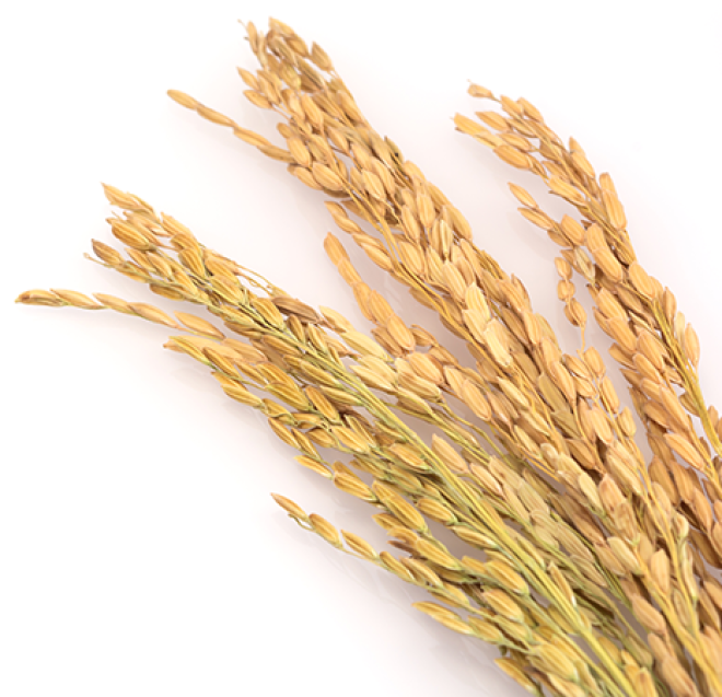 ÐÐ°ÑÑÐ¸Ð½ÐºÐ¸ Ð¿Ð¾ Ð·Ð°Ð¿ÑÐ¾ÑÑ Ð&nbsp;Ð¸Ñ