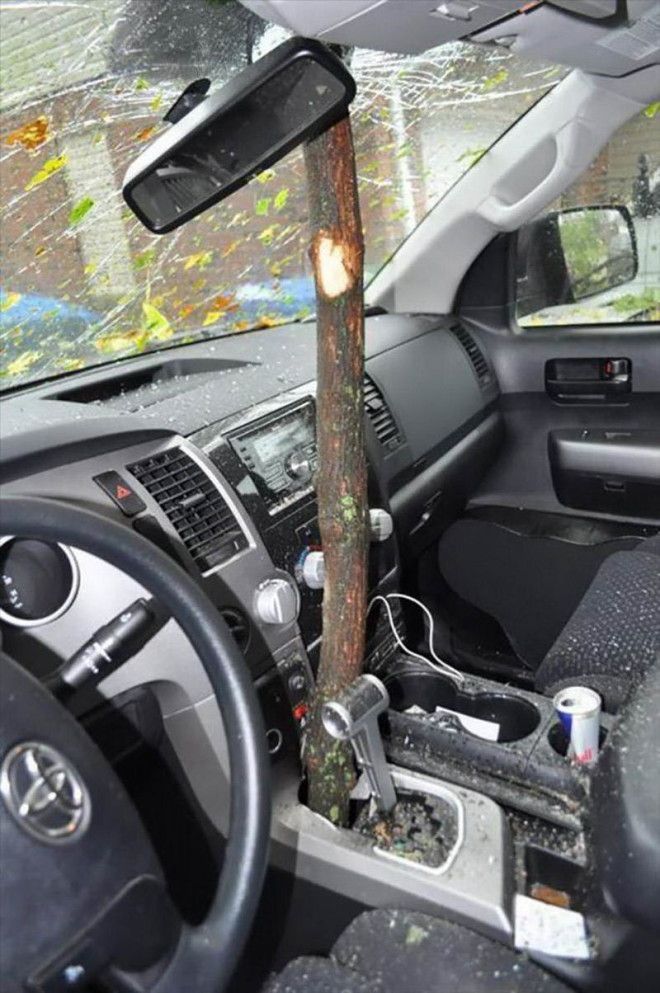 интересные фото на pixmafia.com