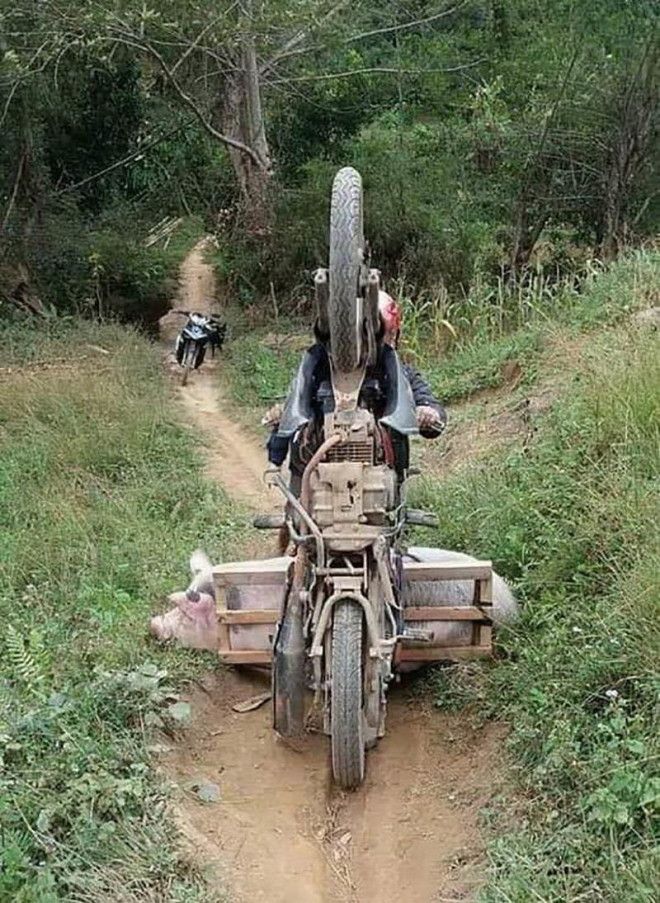 интересные фото на pixmafia.com