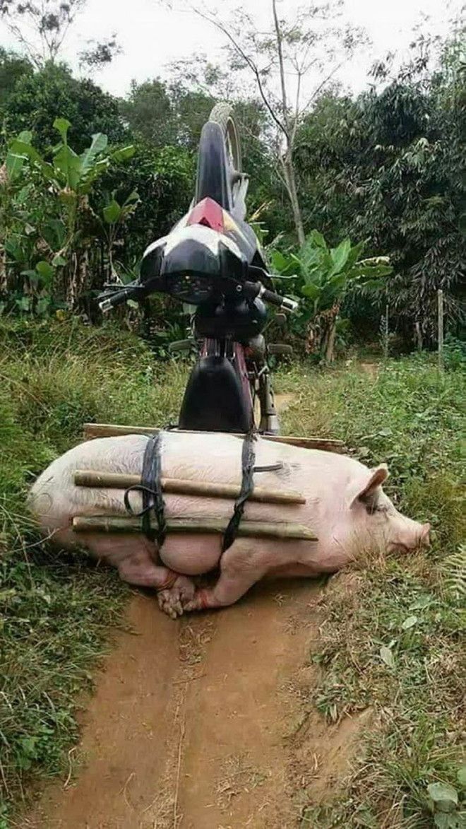 интересные фото на pixmafia.com