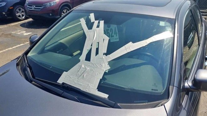 интересные фото на pixmafia.com