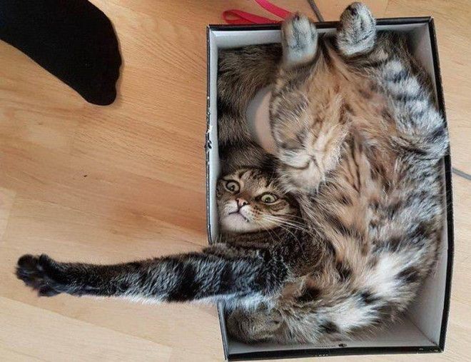 интересные фото на pixmafia.com