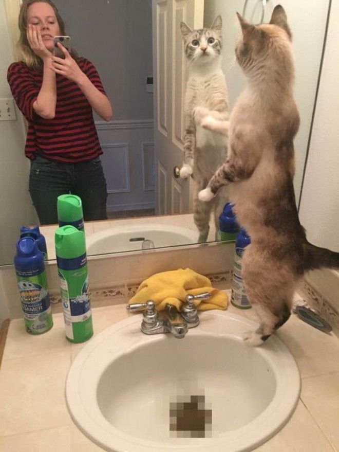 интересные фото на pixmafia.com