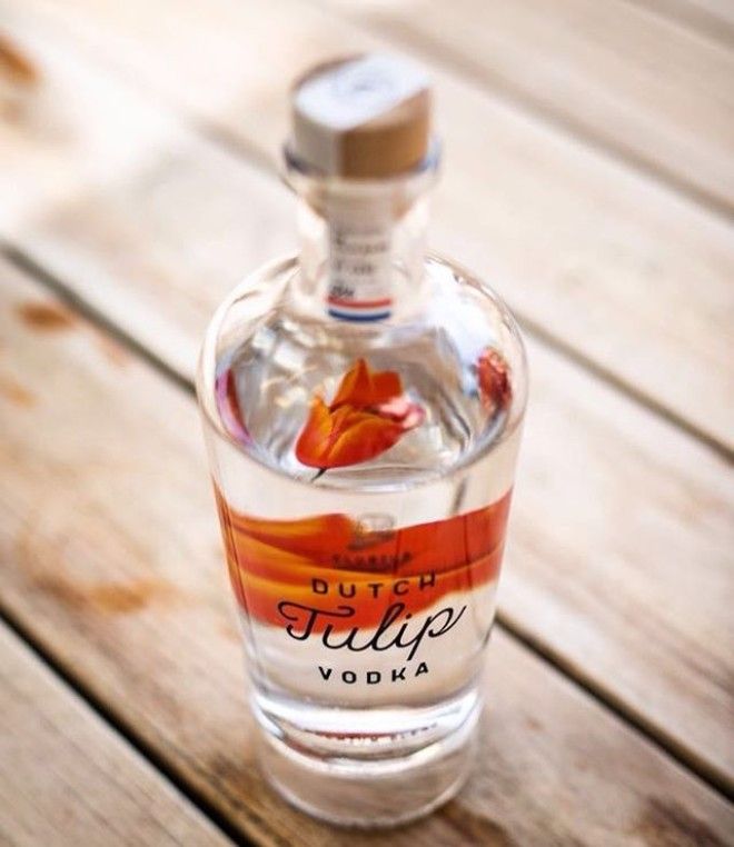 Голландский винокуренный завод гонит водку из тюльпанов