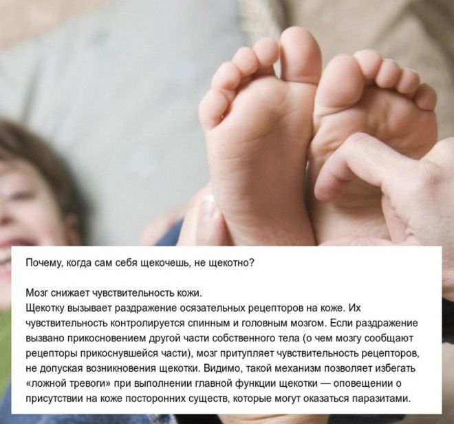 10 Познавательных ответов на интересные вопросы