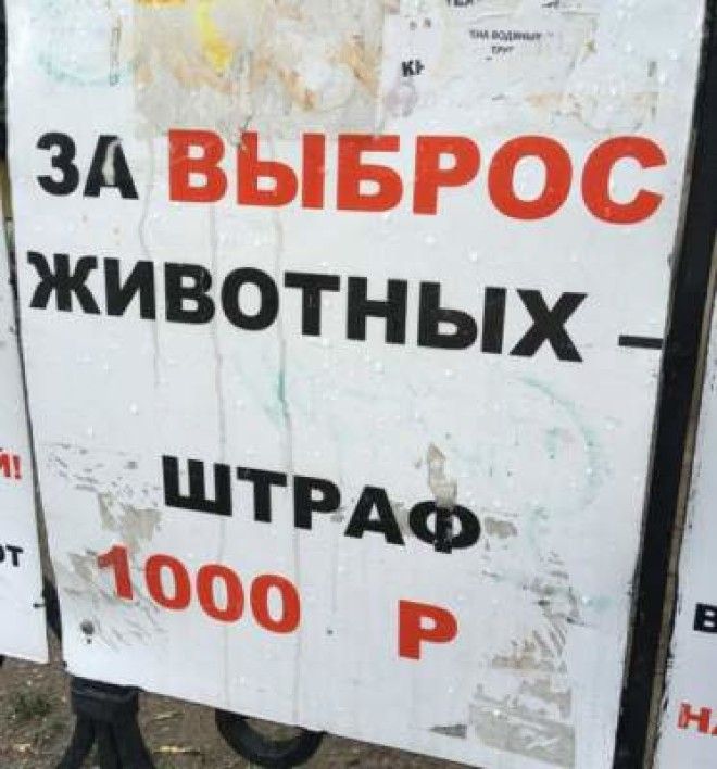 Забавные фотки из серии Угадай страну