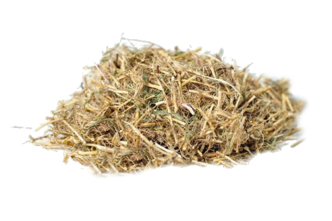 ÐÐ°ÑÑÐ¸Ð½ÐºÐ¸ Ð¿Ð¾ Ð·Ð°Ð¿ÑÐ¾ÑÑ ÐÐ¾ÑÐµÐ½Ñ Ð¿ÑÑÐµÑ.