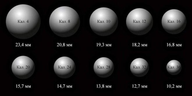 10 наивных вопросов про ружьё оружие, ружьё, факты