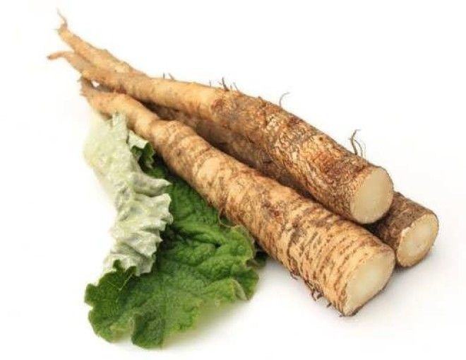 ÐÐ°ÑÑÐ¸Ð½ÐºÐ¸ Ð¿Ð¾ Ð·Ð°Ð¿ÑÐ¾ÑÑ ÐÐ¾ÑÐµÐ½Ñ ÑÐµÐ¿ÐµÐ¹Ð½Ð¸ÐºÐ°.