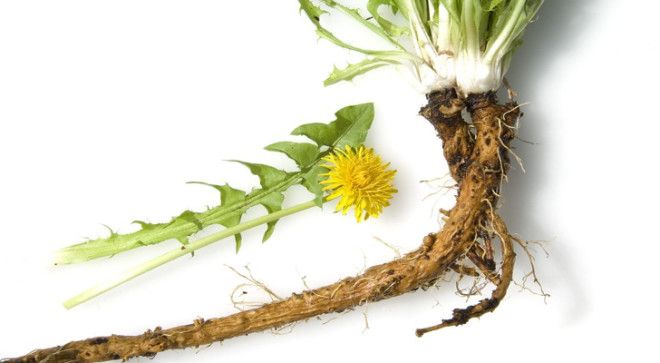 ÐÐ°ÑÑÐ¸Ð½ÐºÐ¸ Ð¿Ð¾ Ð·Ð°Ð¿ÑÐ¾ÑÑ ÐÐ¾ÑÐµÐ½Ñ Ð¾Ð´ÑÐ²Ð°Ð½ÑÐ¸ÐºÐ°.