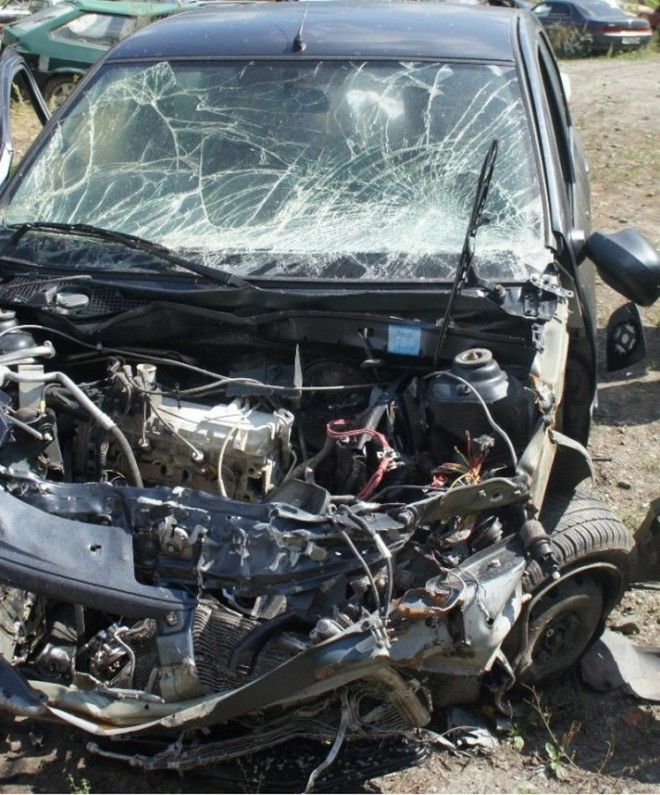 Ремень безопасности необходимость в любой поездке