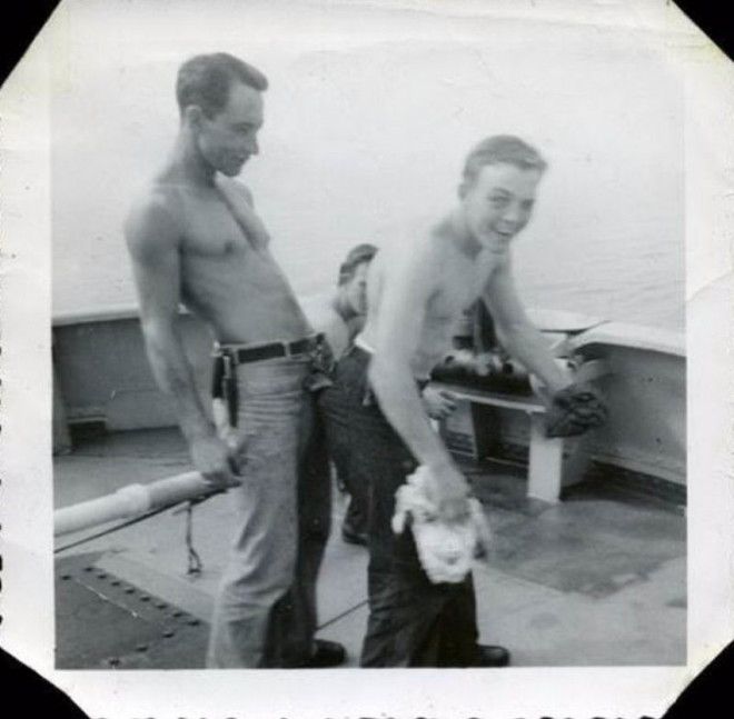 интересные фото на pixmafia.com