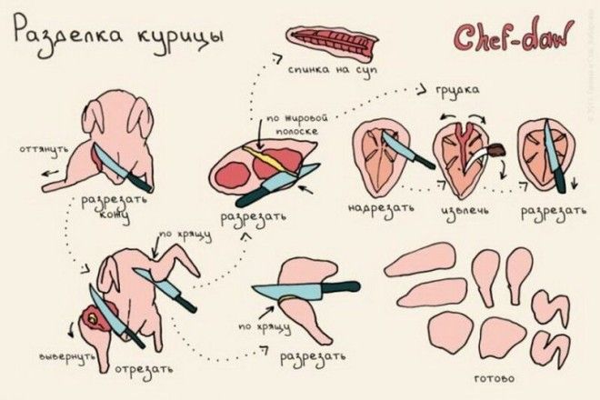 Умеете разделывать курицу Теперь умеете Фабрика идей Шпаргалки важное готовка интересное кулинарные советы кухня продукты