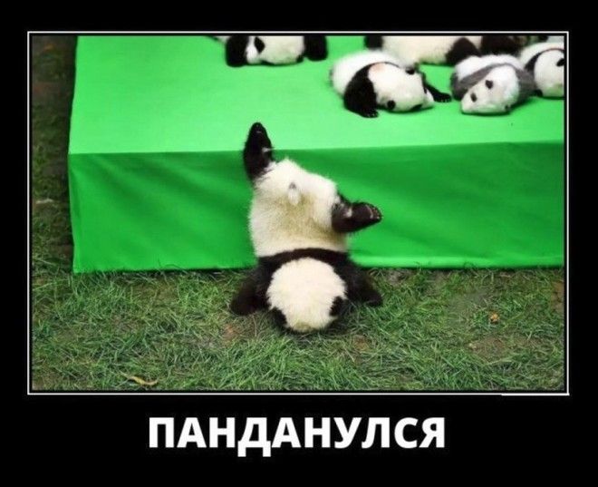 44 Новых демотиваторов для поднятия настроения
