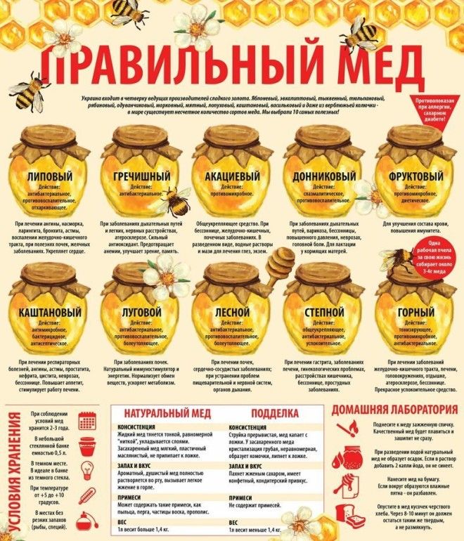 Выбирайте правильный мед Фабрика идей Шпаргалки важное готовка интересное кулинарные советы кухня продукты