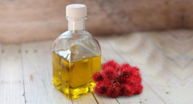 Касторовое масло Эффективность аптечные средства косметика красота кремы недорого