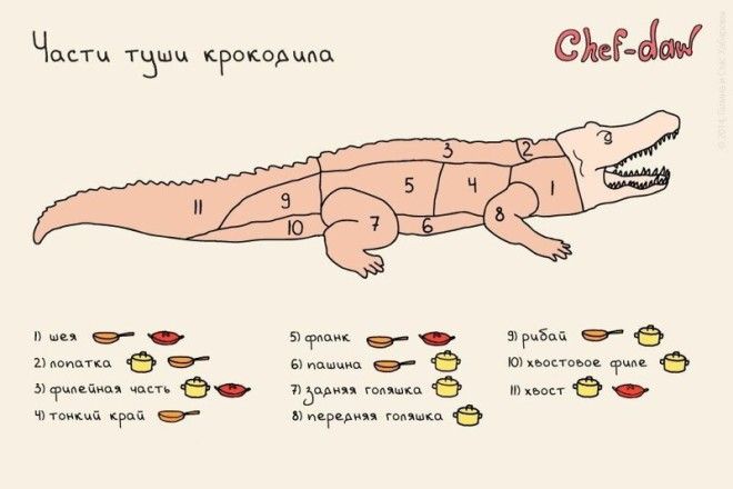 И бонус с юмором но вдруг пригодится Фабрика идей Шпаргалки важное готовка интересное кулинарные советы кухня продукты