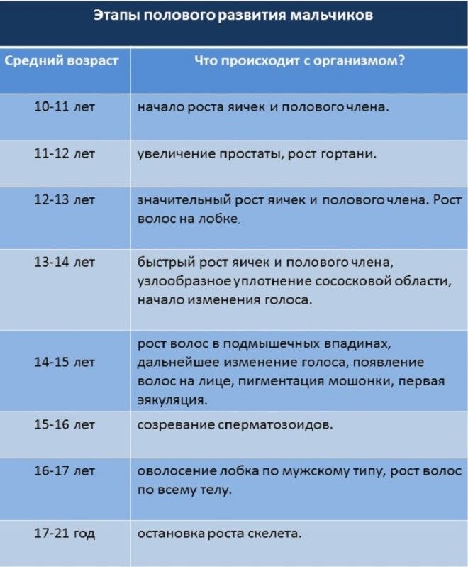 polovoye_razvitiye_boys