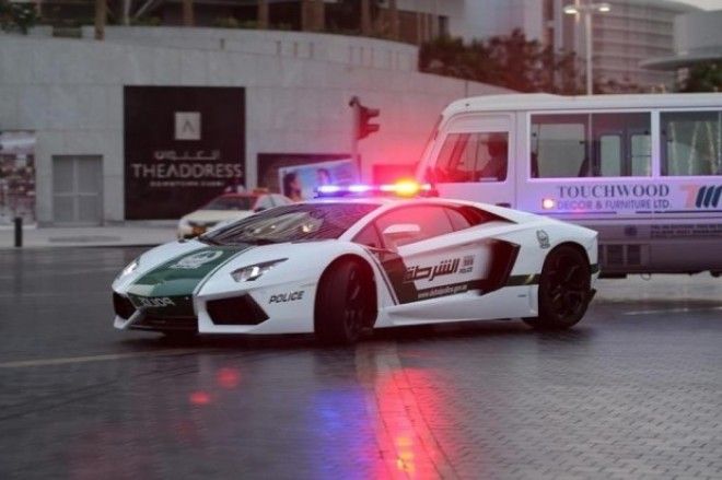 Неймоврн та божевльн фото або чим ще може здивувати Дубай 16