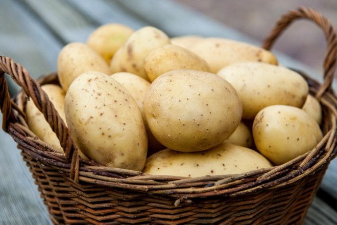 Картофель-популярный продукт