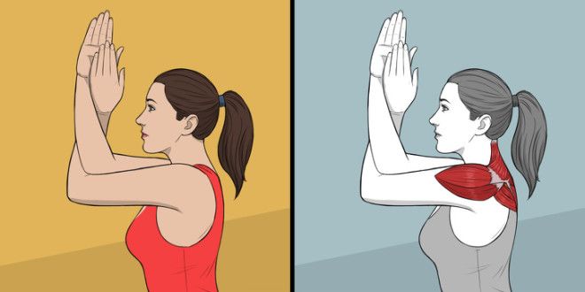 9 упражнений для растяжки которые могут заменить поход к массажисту
