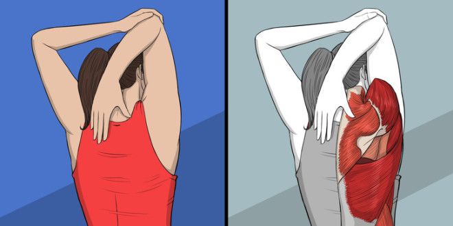 9 упражнений для растяжки которые могут заменить поход к массажисту