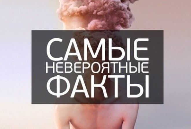 Хотите узнать нечто воистину удивительное? 