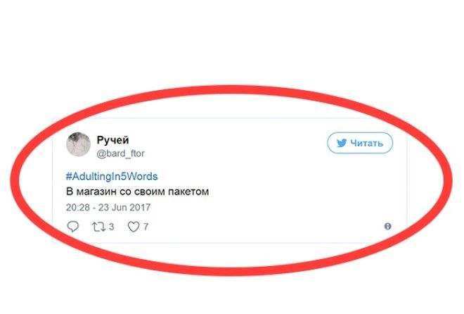 А как бы вы описали свою взрослую жизнь?