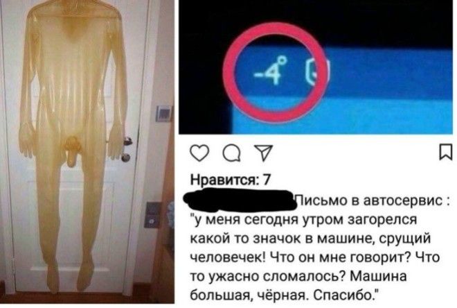 Мы не глупые, мы альтернативно одаренные!