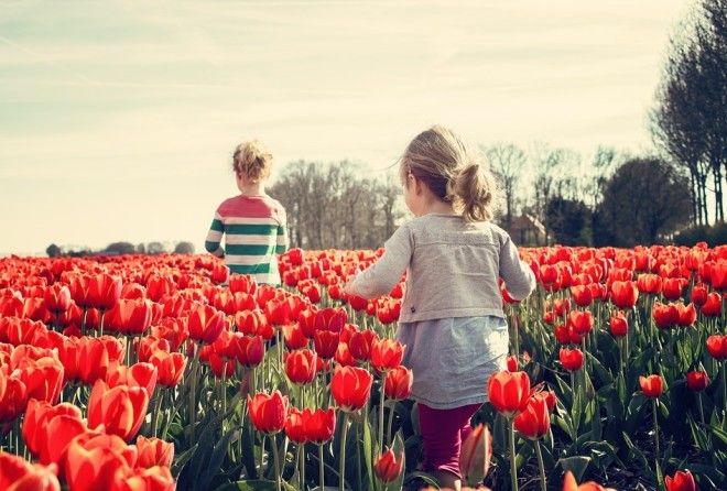 Как родители калечат своих детей