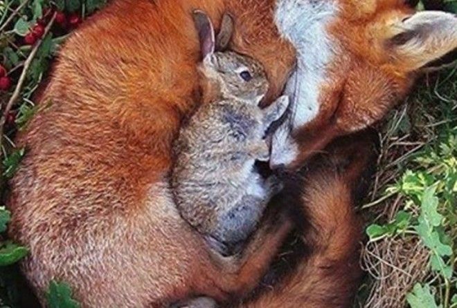 Дружба, о которой даже сложно представить.