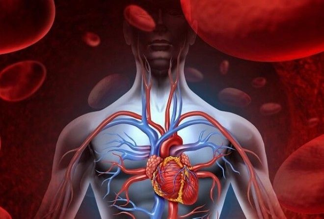 Полезно знать