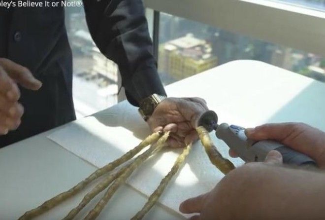 И зачем было растить 66 лет?