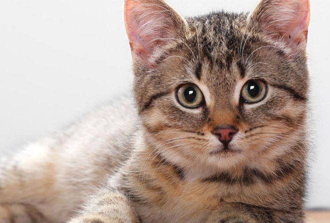 А вы об этом знали?