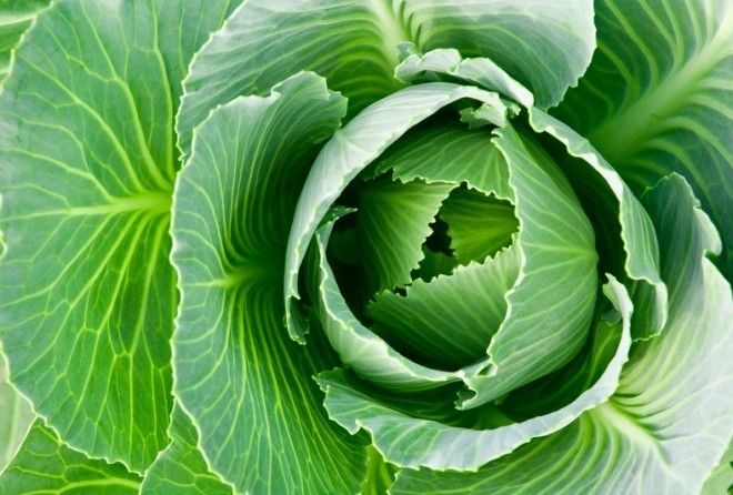 Так называемый польский парадокс.