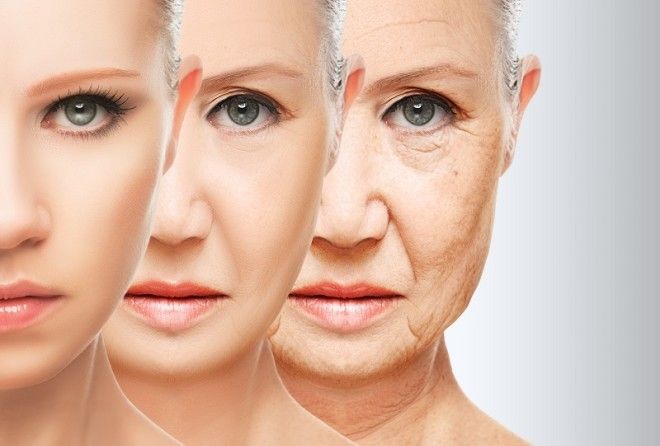 Вот до чего наука дошла!