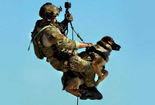 Интересный и смачный рассказ об одном из серьезнейших подразделений израильской армии.