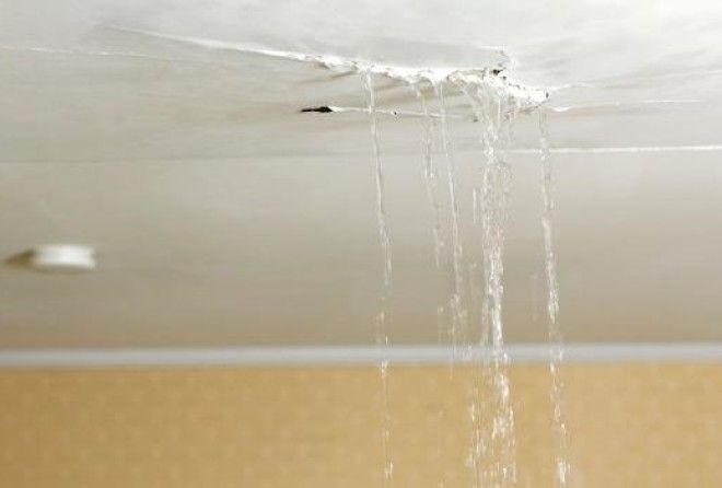 Кричать «Караул!» не стоит – нужно незамедлительно принимать меры.