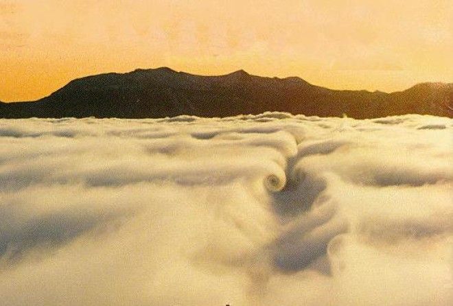 Кто-то, определенно, их копает