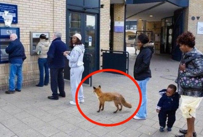 Что вообще творится на этих кадрах, как подобные ситуации могли возникнуть? 