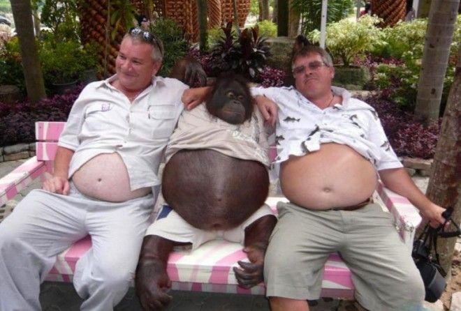 А ведь правда