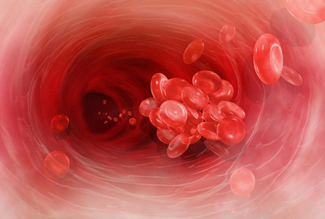 Больше никаких тромбов и голодания внутренних органов!