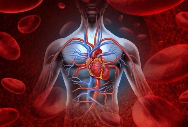 Как обращаться со своим телом, когда он собирается дать сбой или требует своего?