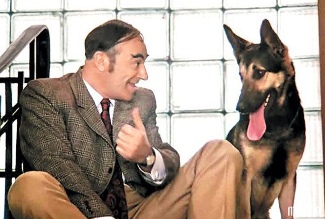 Попытки найти общий язык 