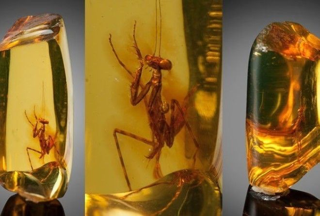 Невероятно, но факт