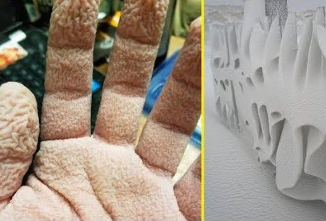 Круче всех художников мира!